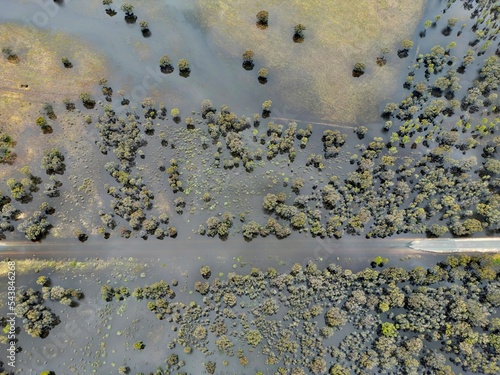 Rural, Murray River, Riverina, Irrigation, Flood, Deniliquin, Crop