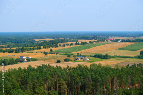 Wallpaper Mural natura bory tucholskie Torontodigital.ca