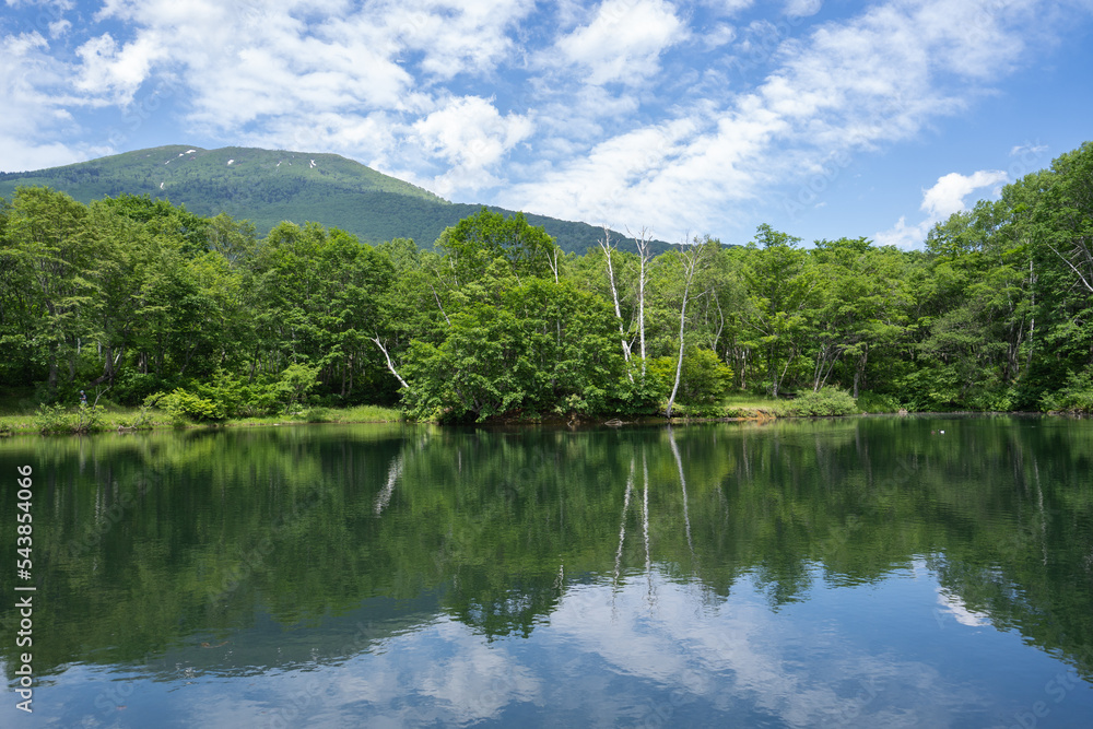 笹ヶ峰遊歩道の清水池から妙高の山を臨む(7月)