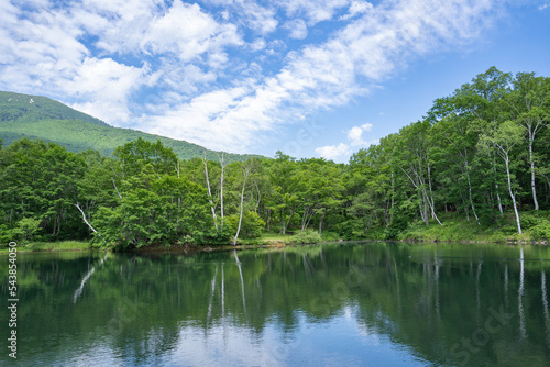 7月の笹ヶ峰の清水ヶ池の水面、空と緑を映す