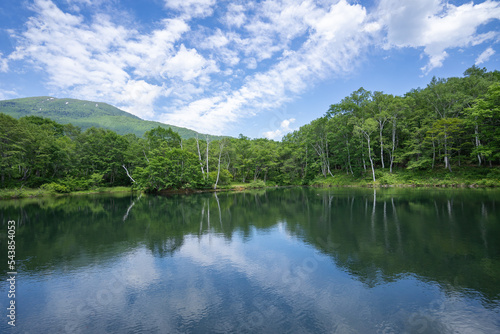 初夏の笹ヶ峰トレッキングコースと清水ヶ池 © hiroyoshi