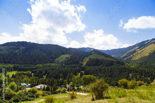 Mountain summer landscape. Tall trees  snowy mountains and white clouds on a blue sky. Kyrgyzstan Beautiful landscape