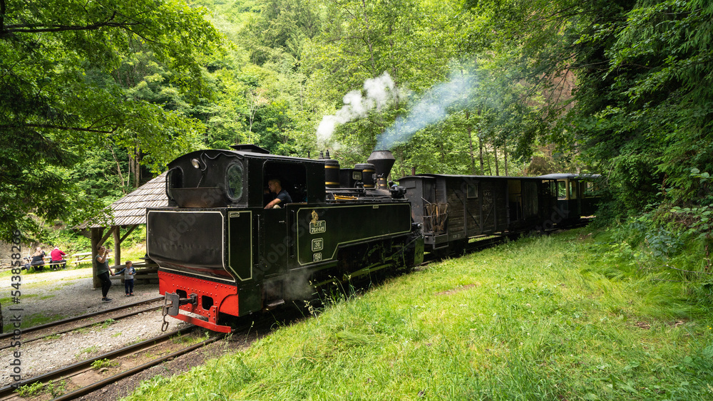 Obraz premium Vintage steam train chugging through the Carpathians Mountains in Maramures Romania.