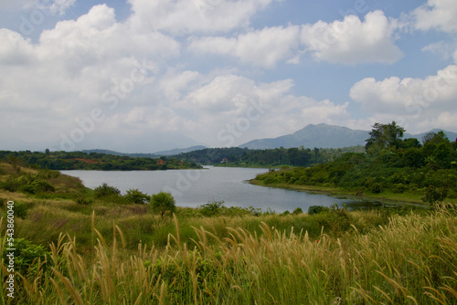 lake in the forest