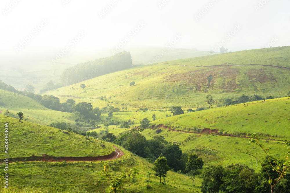 View of the valley with fog, grass and some trees, landscape in the countryside of the state of Sao Paulo, city of Bragança Paulista, Brazil