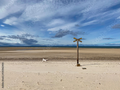 Canvas Print Old rusty sign and lonely dog on the empty Findhorn beach