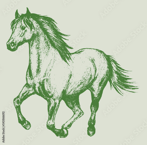 Vector of a horse illustration in green