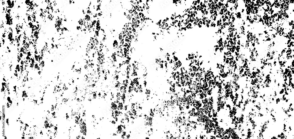Fototapeta premium Black and white cement texture grunge background