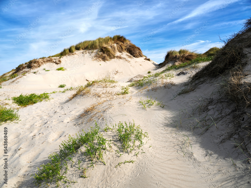 Dunes at Fort Mahon, a commune in the Somme department in Hauts-de-France in northern France. 