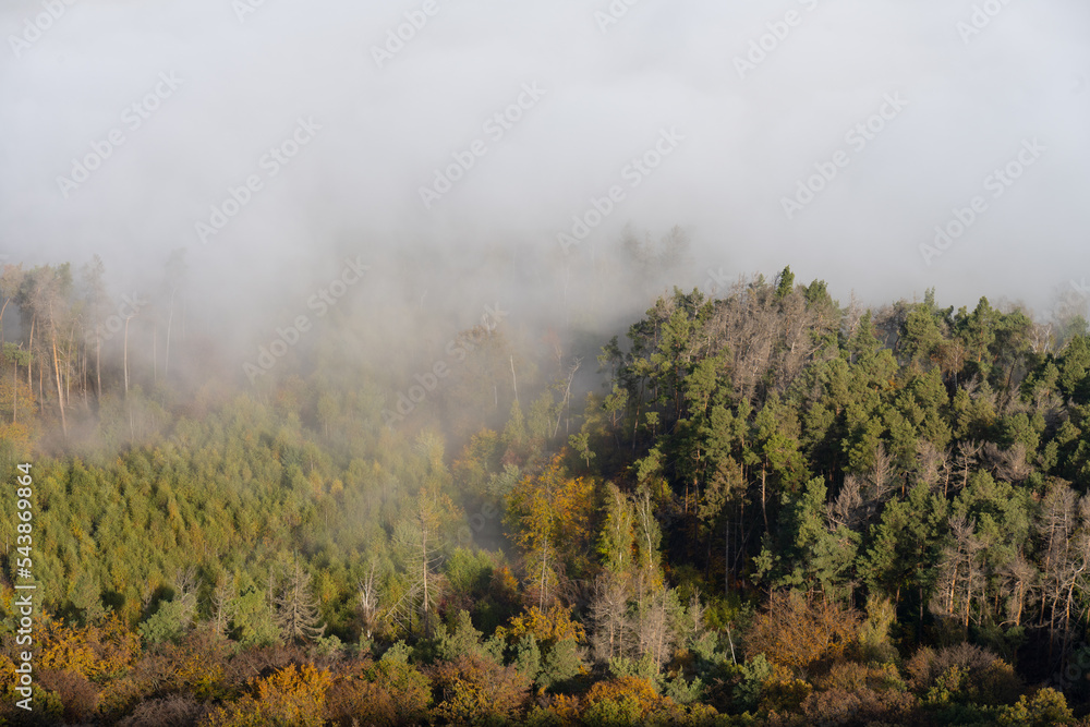 Herbstliche Landschaft - bunt gefärbter Wald