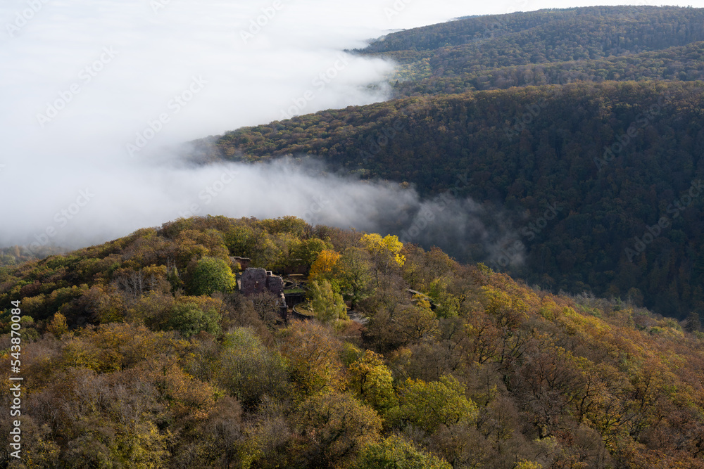 Herbstliche Landschaft - bunt gefärbter Wald Herbstliche Landschaft - bunt gefärbter Wald
