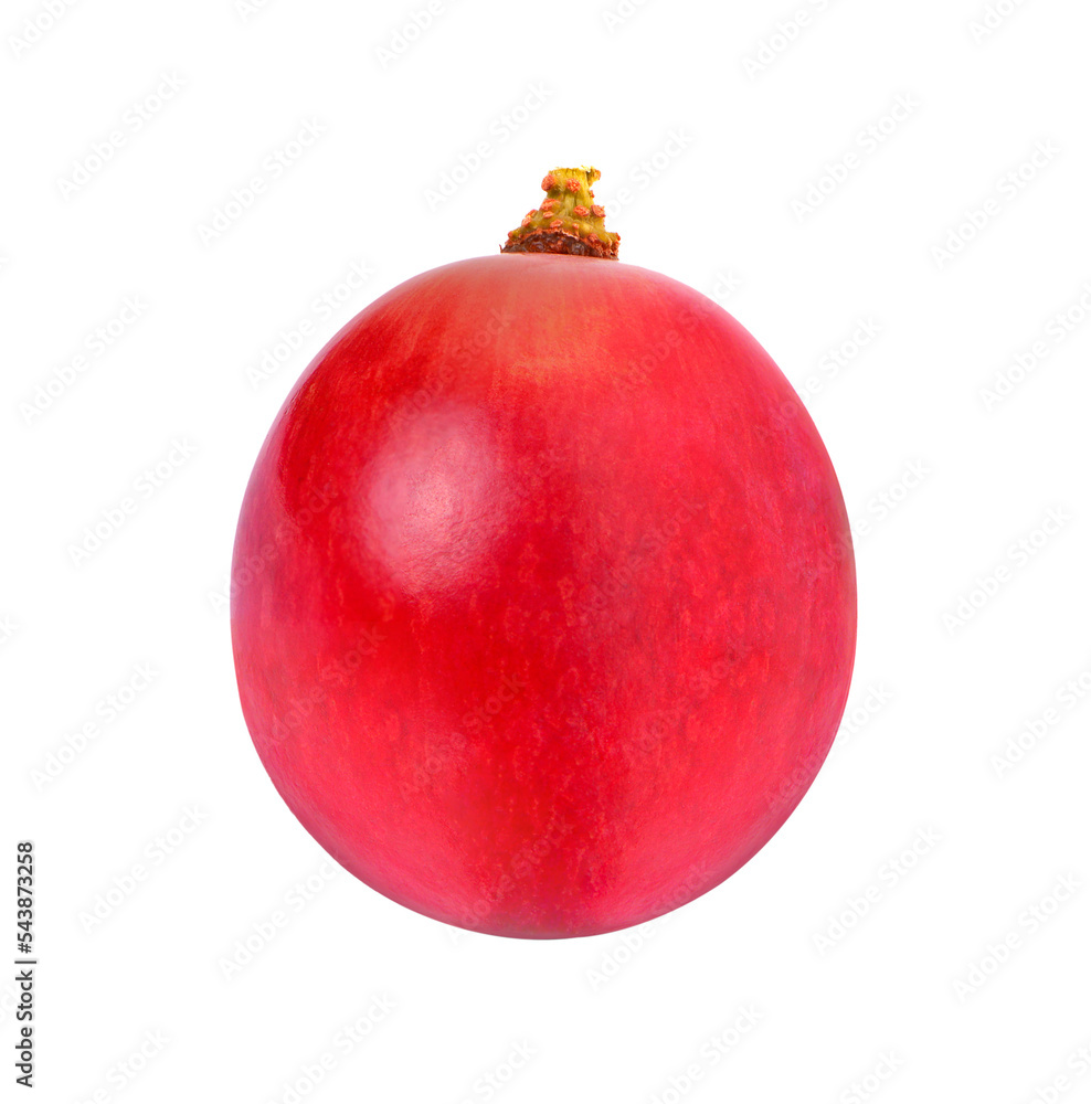 Ripe red grape isolated on transparent png Ripe red grape isolated on transparent png