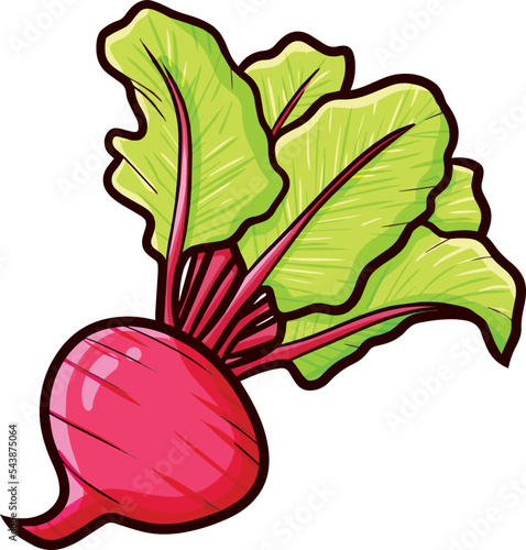 Funny red radish cartoon illustration
