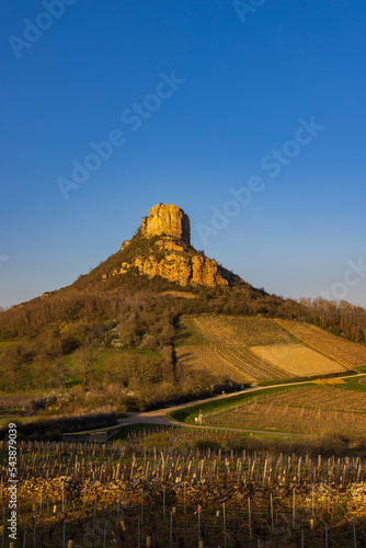 Rock of Solutre with vineyards, Burgundy, Solutre-Pouilly, France photo