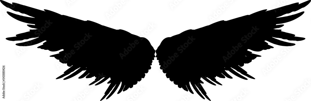 Silhouette of a bird wings