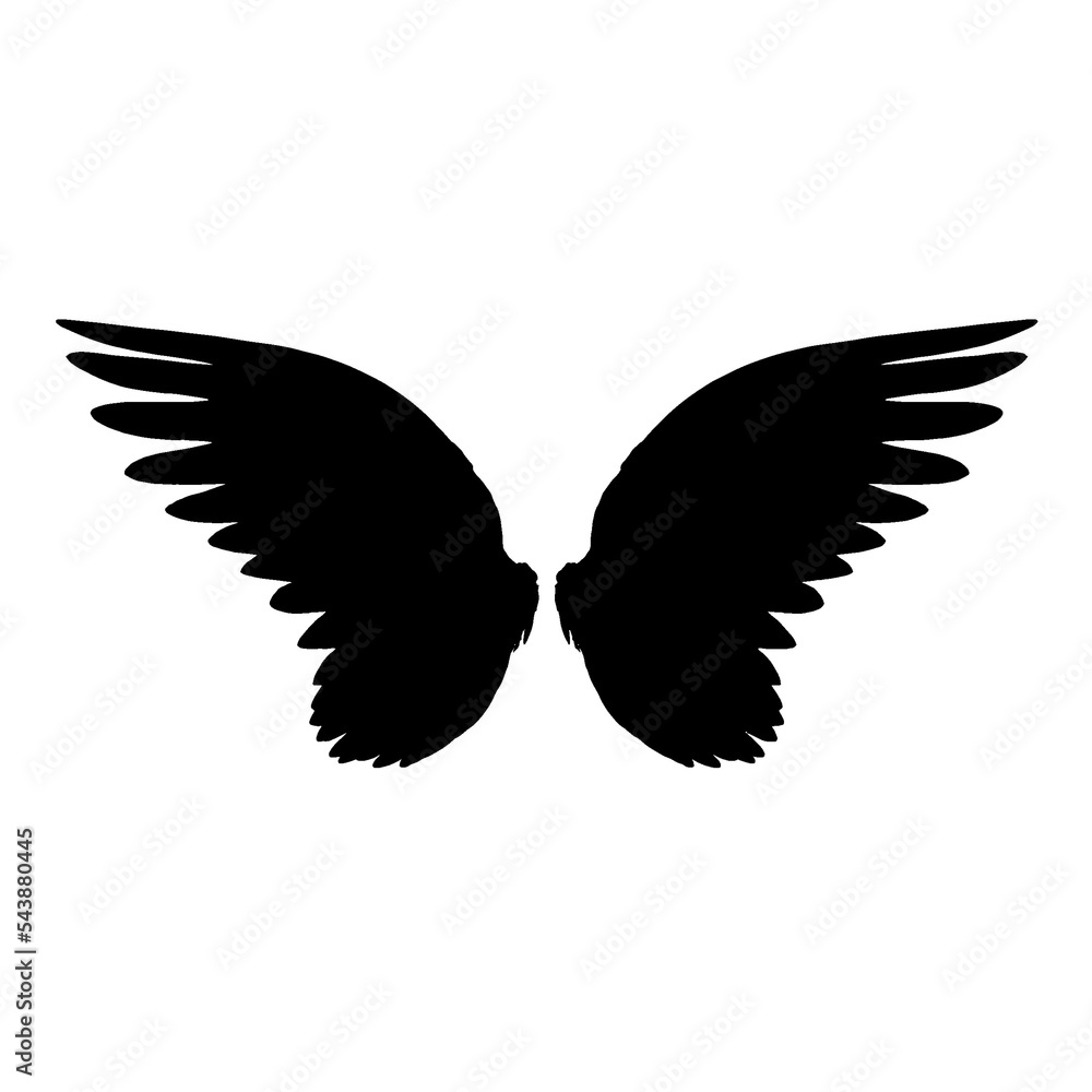 Fototapeta premium Illustration of wings