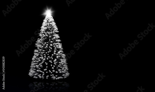 Weihnachtsbaum isoliert vor weißem Hintergrund