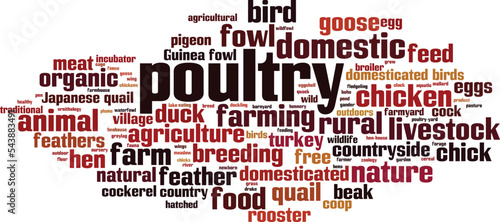 Poultry word cloud