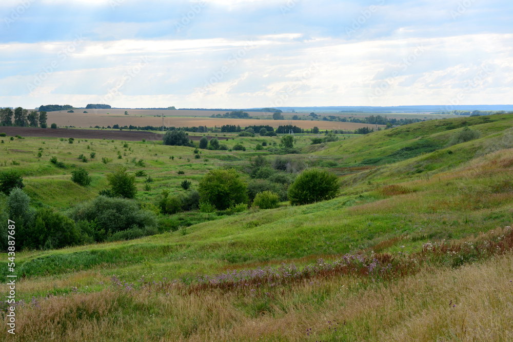 Obraz premium valley with rolling hills and green bushes and cloudy sky
