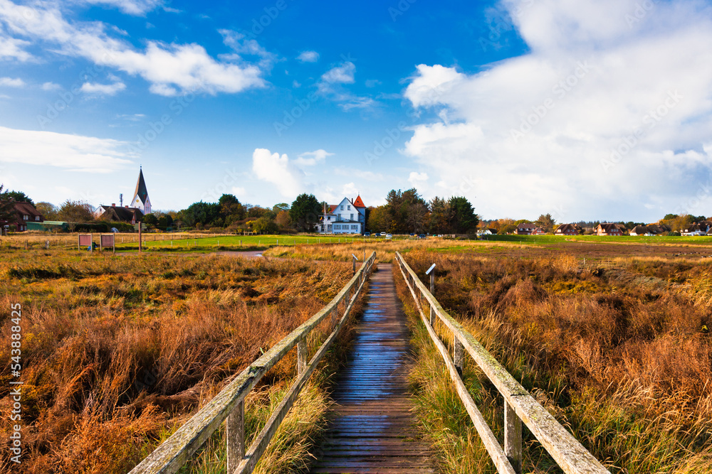 Fototapeta premium Amrum view