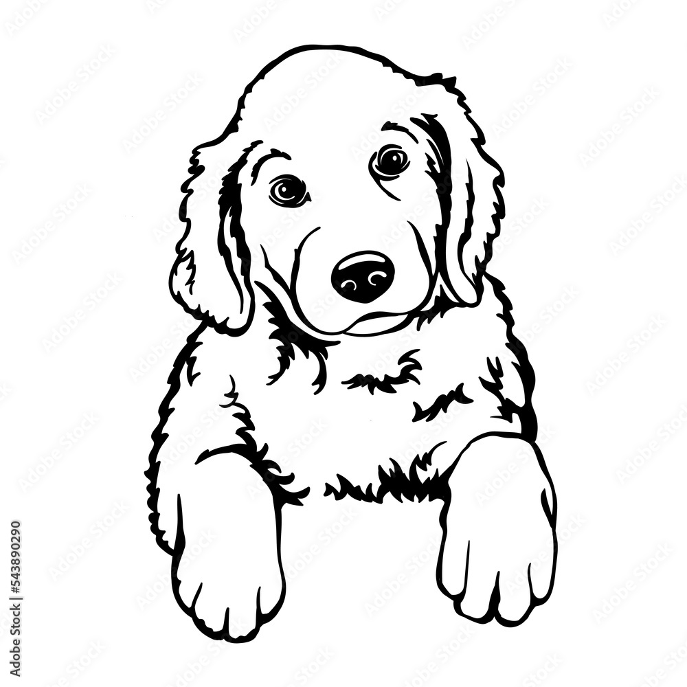 Puppies Clipart Black And White