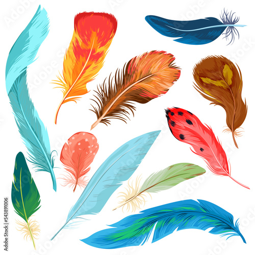 Cartoon isolated colorful nature collection with beautiful bright plumage decoration of different tropical birds, plume feather from wing of exotic flying animals. Feathers set vector illustration