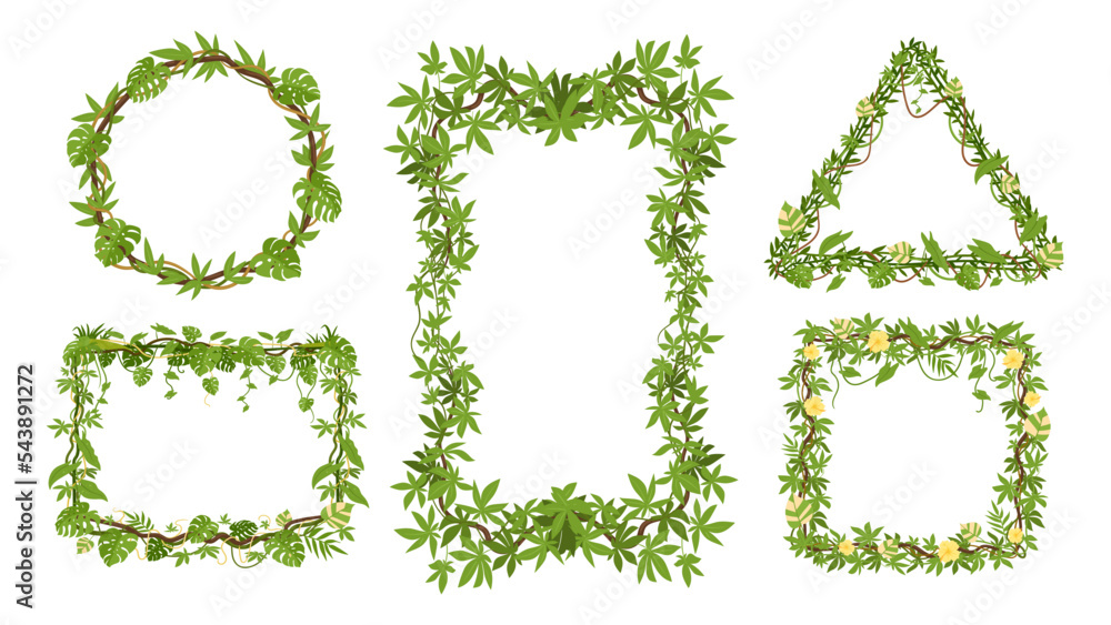 Cartoon tropical liana frames, climbing plants decor. Jungle hanging liana wild plants, creepers branch frame, rainforest liana flat vector illustration set. Green foliage lianas borders Cartoon tropical liana frames, climbing plants decor. Jungle hanging liana wild plants, creepers branch frame, rainforest liana flat vector illustration set. Green foliage lianas borders