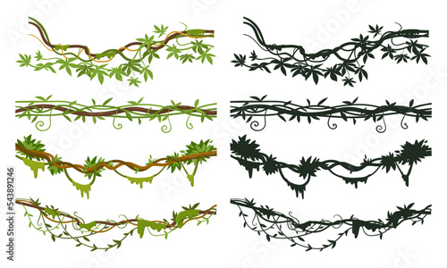 Cartoon jungle liana dividers, hanging creeper branches. Jungle rainforest green liana plants with flowers and foliage flat vector illustration set. Tropical lianas silhouettes