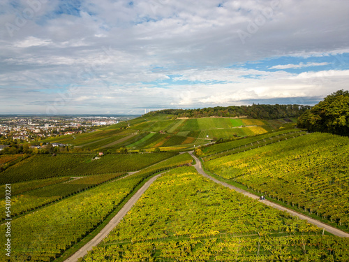 wine mountain with view the Heilbronn in autumn, Germany