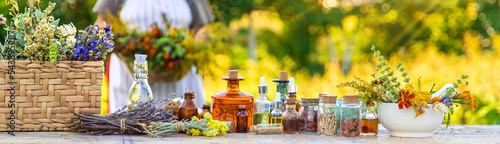 Obraz na plátně Grandmother makes tinctures from medicinal herbs