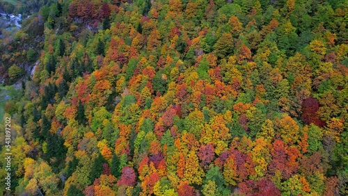 Aerial fly though the colourful fooliage of the Pyrenees mountains during autumn photo