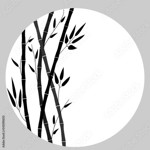 Round frame with bamboo plant. Background with bamboo trees. Monochrome drawing of stems, leaves, flat design, minimalistic style. Postcard, banner, flyer with place for text. Vector illustration.  © Lyudmyla