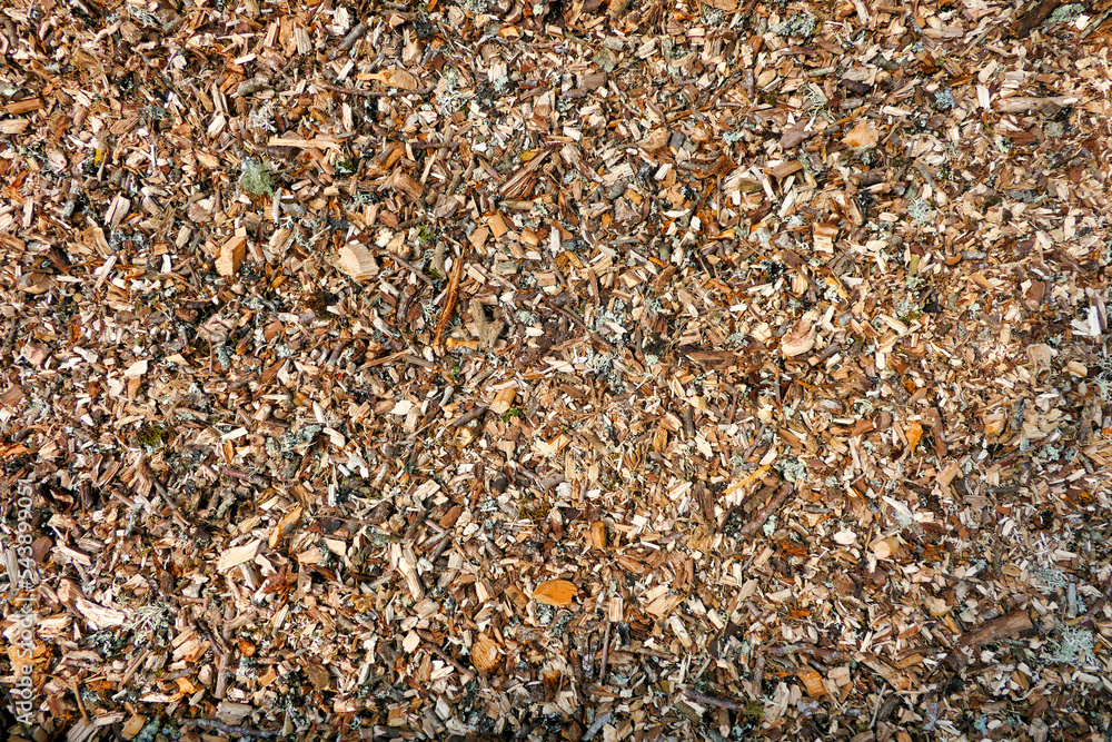 Close up of wood chippings from an electric shredder used on a pathway in a polytunnel
