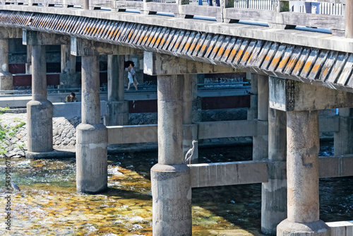 Detail of Kyoto Sanjo bridge across Kamo river in Kyoto, Japan. Traditional oriental urban or ecology background. 