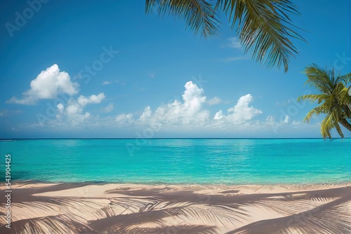 palm tree on the beach