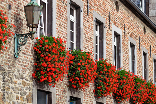 Hanging geraniums on wall of medieval building in October in Aachen Germany. Abstract urban or outdoor background. 
