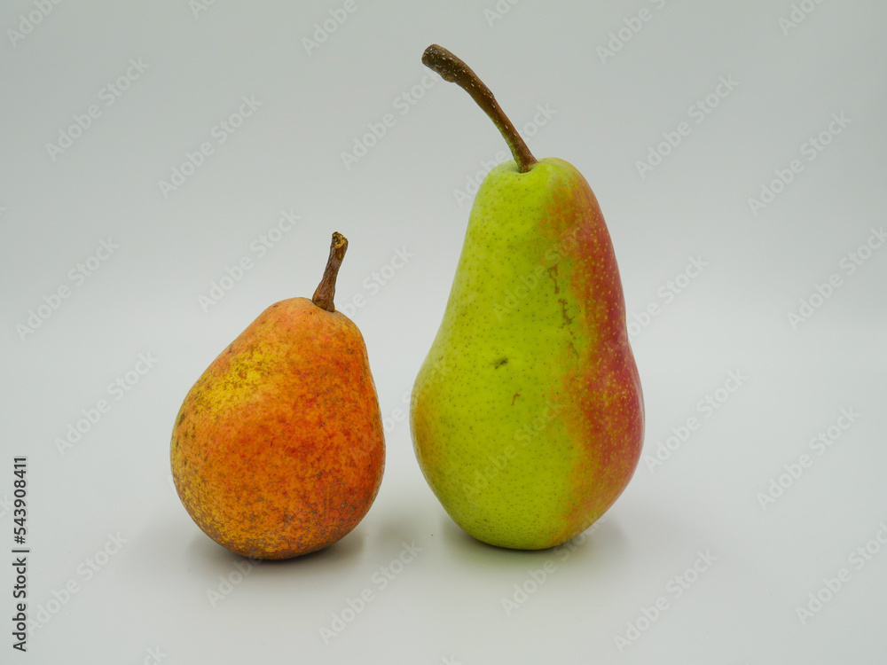 Two pears on a white background Two pears on a white background