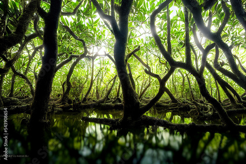Mangrove Forest in Morning Sunlight 