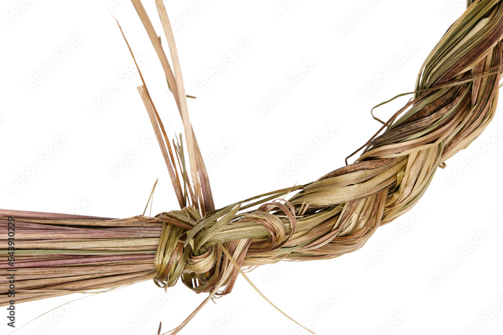 Sweet grass braid (Hierochloe odorata), also called vanilla grass