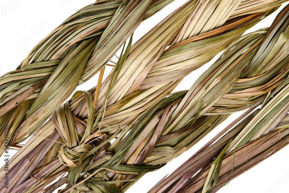 Sweet grass braid (Hierochloe odorata), also called vanilla grass, used by  indigenous peoples in North America as herbal medicine and incense  (smudges) to attract good spirits. Close up, top view. Stock Photo