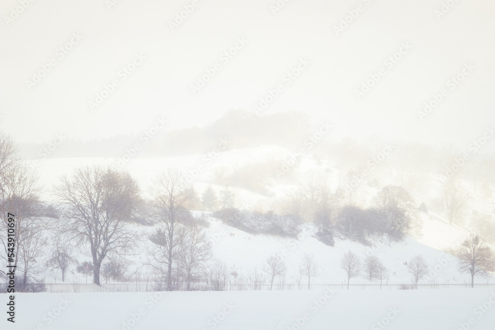 Snowfall in the rural scenery. Winter landscape with trees. Cold weather. Sunny, foggy background concept