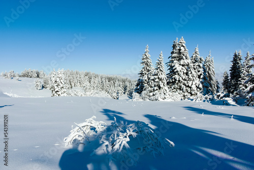 Winter landscape of Vitosha Mountain, Bulgaria © Stoyan Haytov