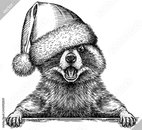 Vintage vector engrave isolated dressed christmas raccoon set illustration santa costume cut ink sketch. Wild pet background line new year hat racoon art