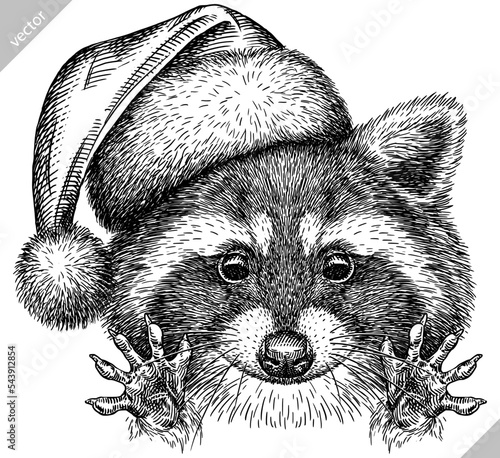 Vintage vector engrave isolated dressed christmas raccoon set illustration santa costume cut ink sketch. Wild pet background line new year hat racoon art