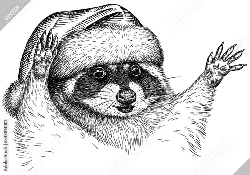 Vintage vector engrave isolated dressed christmas raccoon set illustration santa costume cut ink sketch. Wild pet background line new year hat racoon art