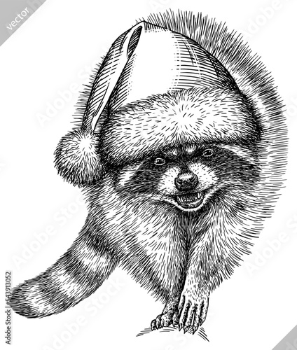 Vintage vector engrave isolated dressed christmas raccoon set illustration santa costume cut ink sketch. Wild pet background line new year hat racoon art