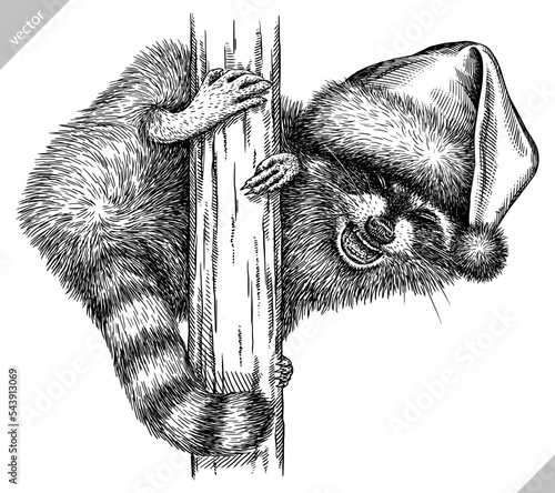 Vintage vector engrave isolated dressed christmas raccoon set illustration santa costume cut ink sketch. Wild pet background line new year hat racoon art