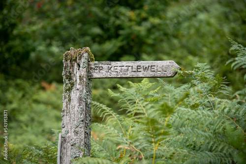 Weathered wooden signpost 