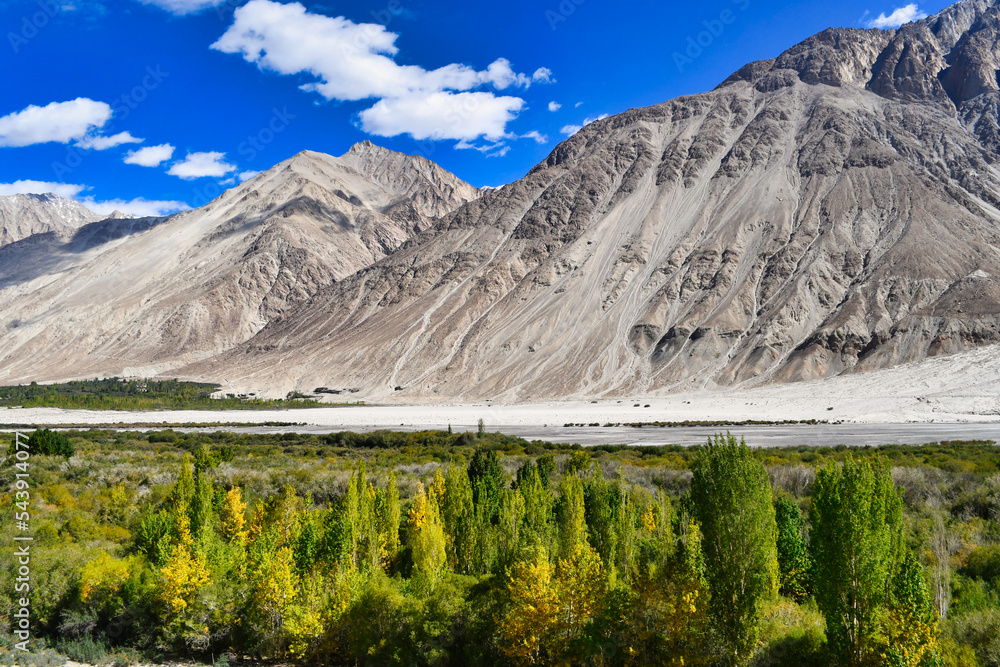 Obraz premium Travel to Pangong Tso from Nubra Valley Via Agham – Shyok village route