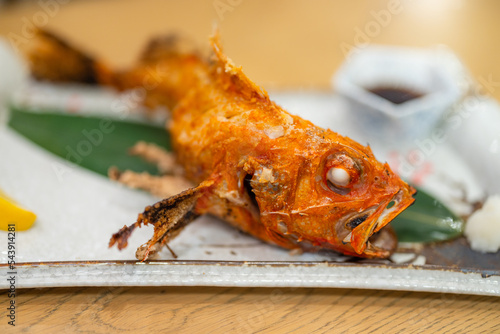 Japanese grilled splendid alfonsino fish dish photo